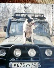 E-georgbogacev7@gmail.com — фото 18