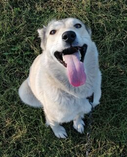 E-georgbogacev7@gmail.com — фото 16