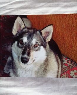 E-georgbogacev7@gmail.com — фото 14