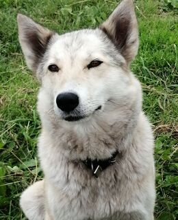 E-georgbogacev7@gmail.com — фото 41