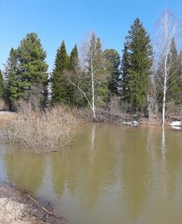 Сергей Никитин