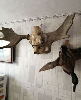 E-georgbogacev7@gmail.com — фото 54