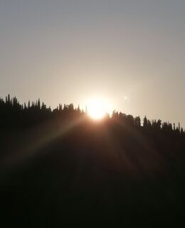 E-georgbogacev7@gmail.com — фото 56