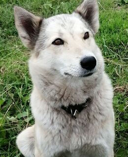 E-georgbogacev7@gmail.com — фото 42