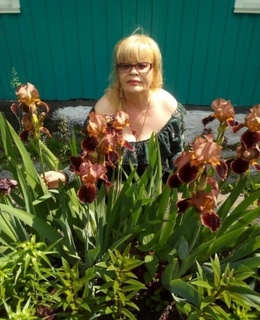 Елена — фото 10