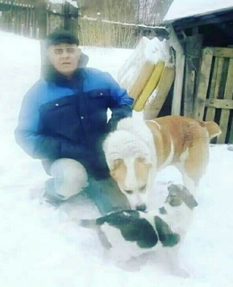 Шариф — фото 2