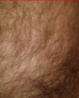 Nikolai — фото 4