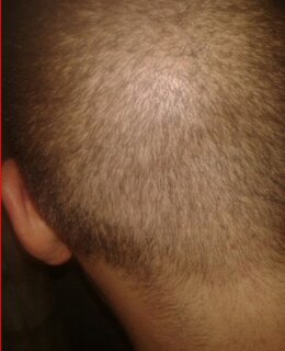 Nikolai — фото 5