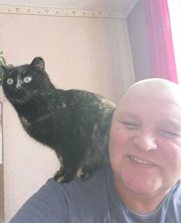 E-georgbogacev7@gmail.com — фото 38