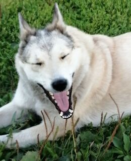 E-georgbogacev7@gmail.com — фото 23