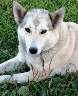 E-georgbogacev7@gmail.com — фото 15