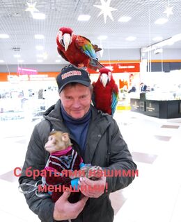 Олег — фото 1