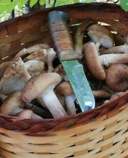 E-georgbogacev7@gmail.com — фото 55